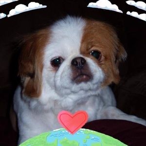 Meet your Posher, Stephen